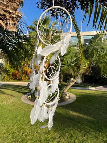 לוכד חלומות  