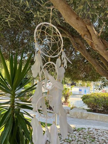 לוכד חלומות  