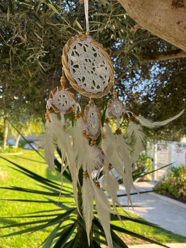 לוכד חלומות  