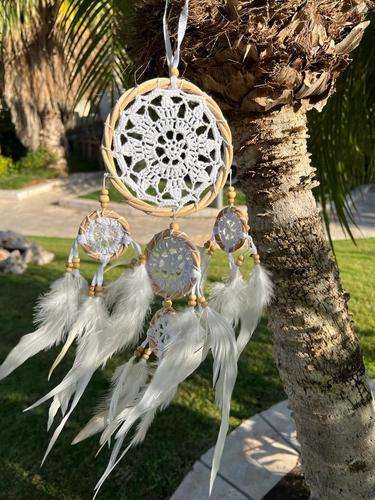 לוכד חלומות  