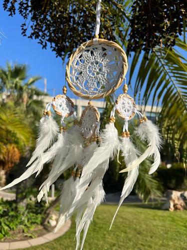 לוכד חלומות  