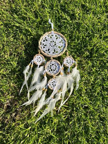 לוכד חלומות  