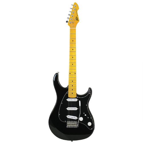 PEAVEY Raptor® Custom BLACK