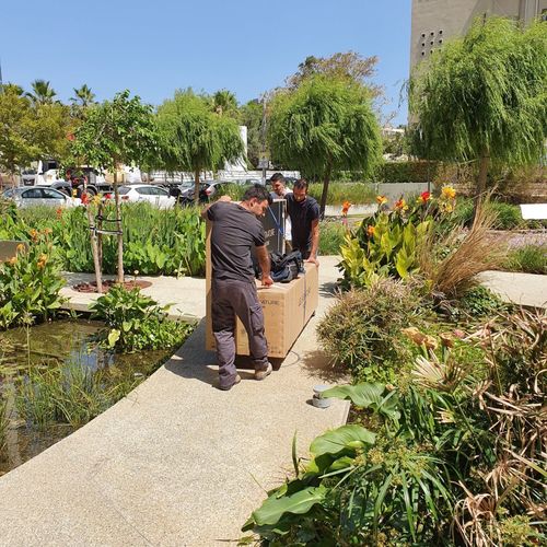 הטלויזיה הטובה ביותר בעולם