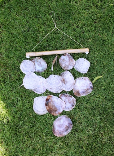 מוביילים צדפים