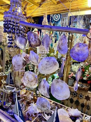 מוביילים צדפים