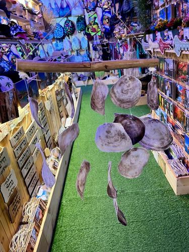 מוביילים צדפים