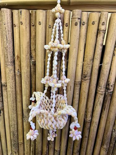 מובייל צדפים