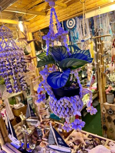 מובייל צדפים