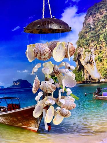 מוביילים צדפים