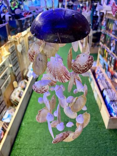 מוביילים צדפים