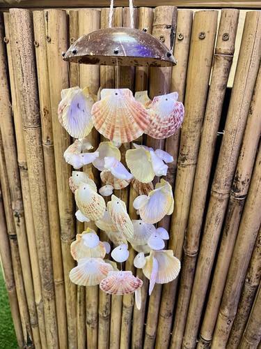 מוביילים צדפים