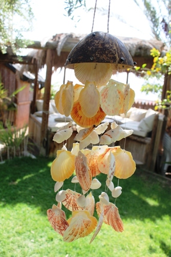 מוביילים צדפים