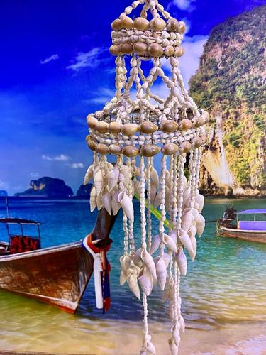 מוביילים צדפים