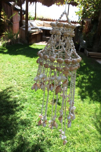 מוביילים צדפים