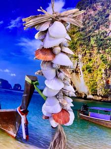 מוביילים צדפים