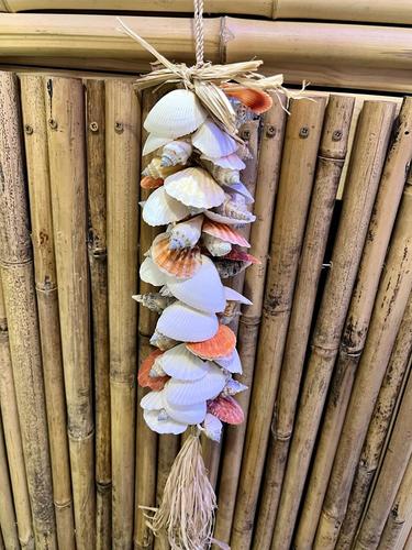 מוביילים צדפים