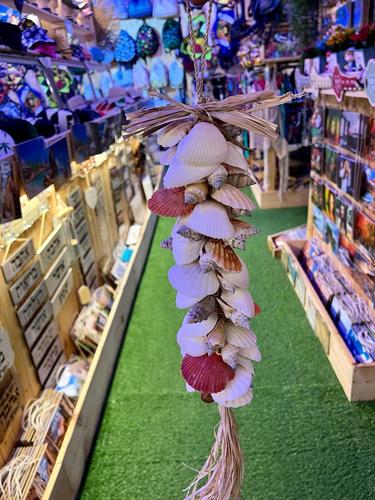 מוביילים צדפים