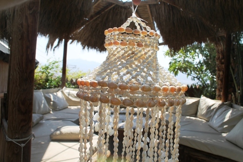 מוביילים צדפים