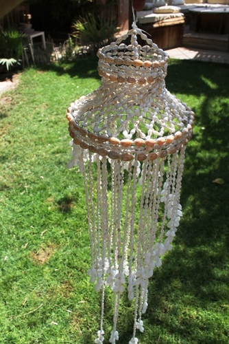 מוביילים צדפים