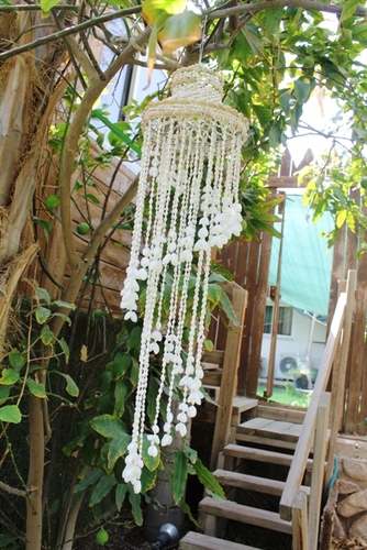 מוביילים צדפים