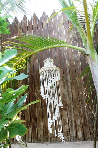 מוביילים צדפים