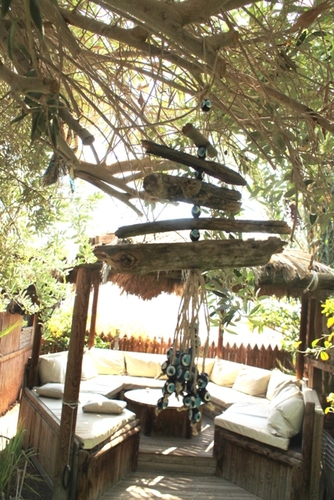 מוביילים צדפים