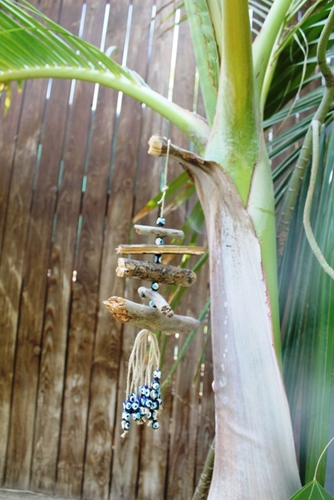 מוביילים צדפים