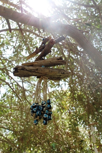 מוביילים צדפים