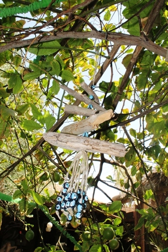 מוביילים צדפים