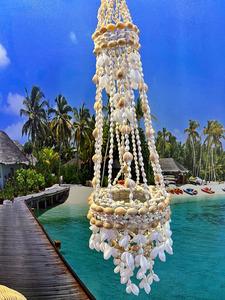 מוביילים צדפים