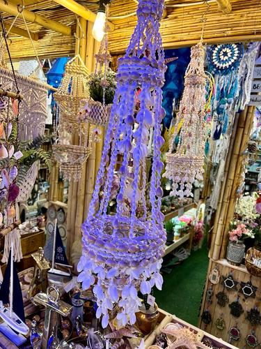 מוביילים צדפים