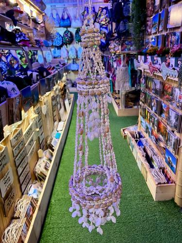 מוביילים צדפים