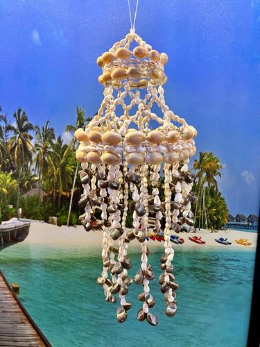 מוביילים צדפים