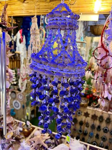 מוביילים צדפים