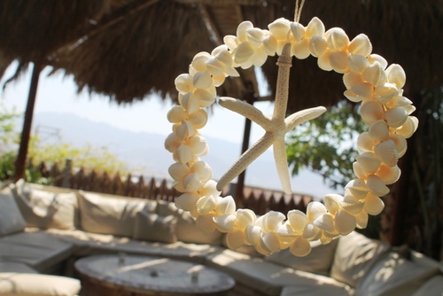 מוביילים צדפים