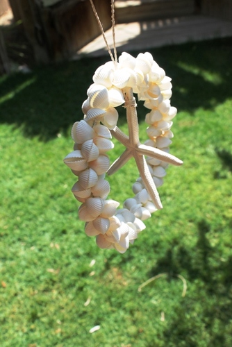 מוביילים צדפים