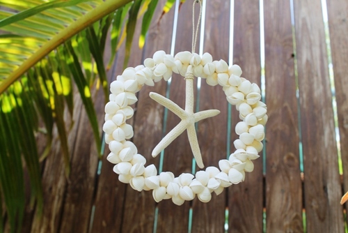 מוביילים צדפים