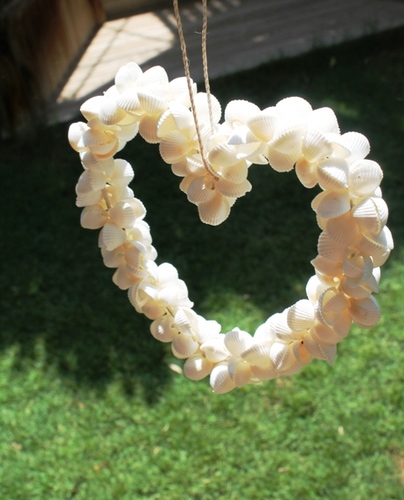 מוביילים צדפים