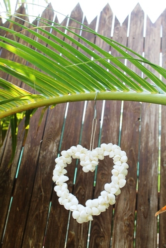 מוביילים צדפים