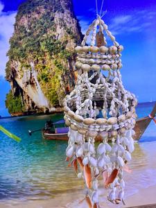 מוביילים צדפים