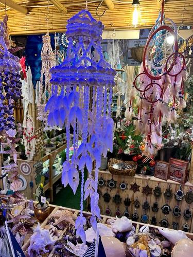 מוביילים צדפים