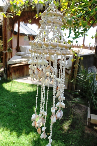 מוביילים צדפים