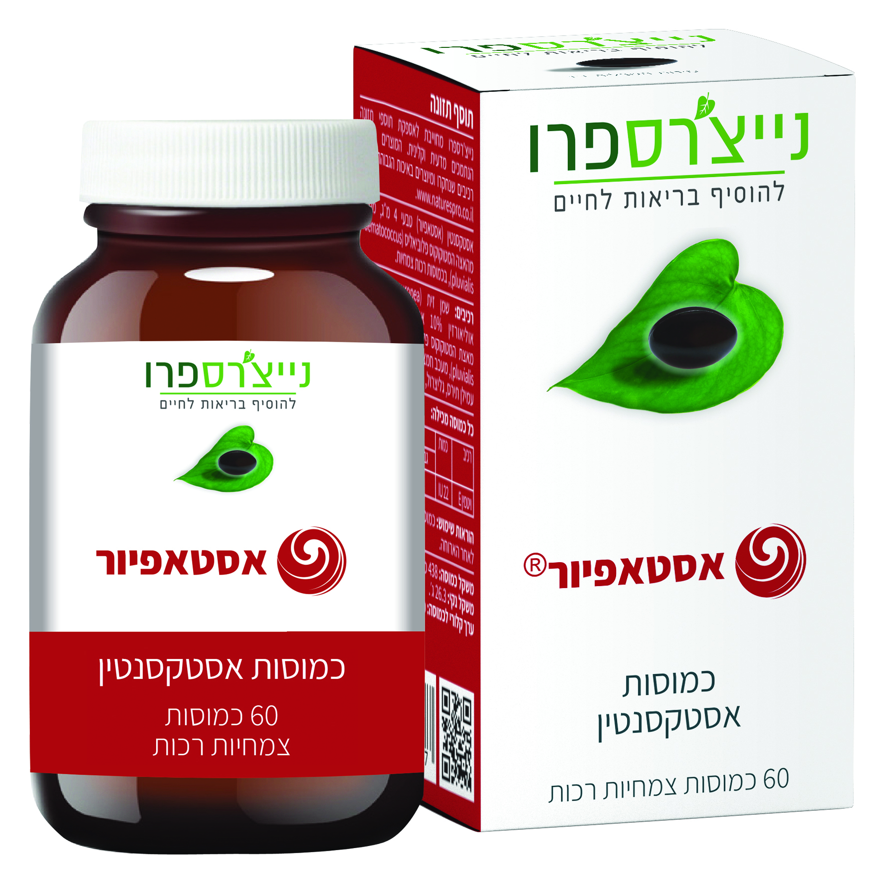אסטאפיור 60