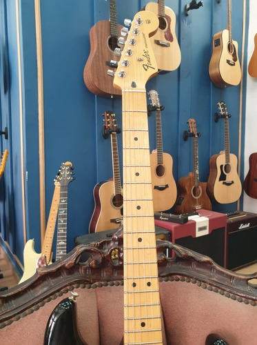 Fender Stratocaster MiM 2010