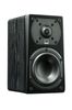 Prime Satellite - Black Ash (Pair)