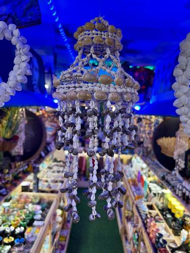 מוביילים צדפים