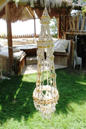 מוביילים צדפים