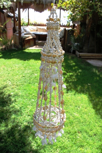 מוביילים צדפים