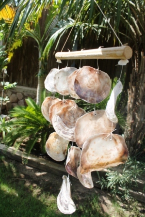 מוביילים צדפים